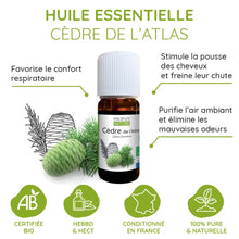 Charger l&#39;image dans la galerie, Huile essentielle de Cèdre de l’Atlas – Purifiante, relaxante et revitalisante