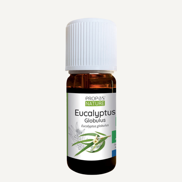 Huile Essentielle Eucalyptus Globulus Bio