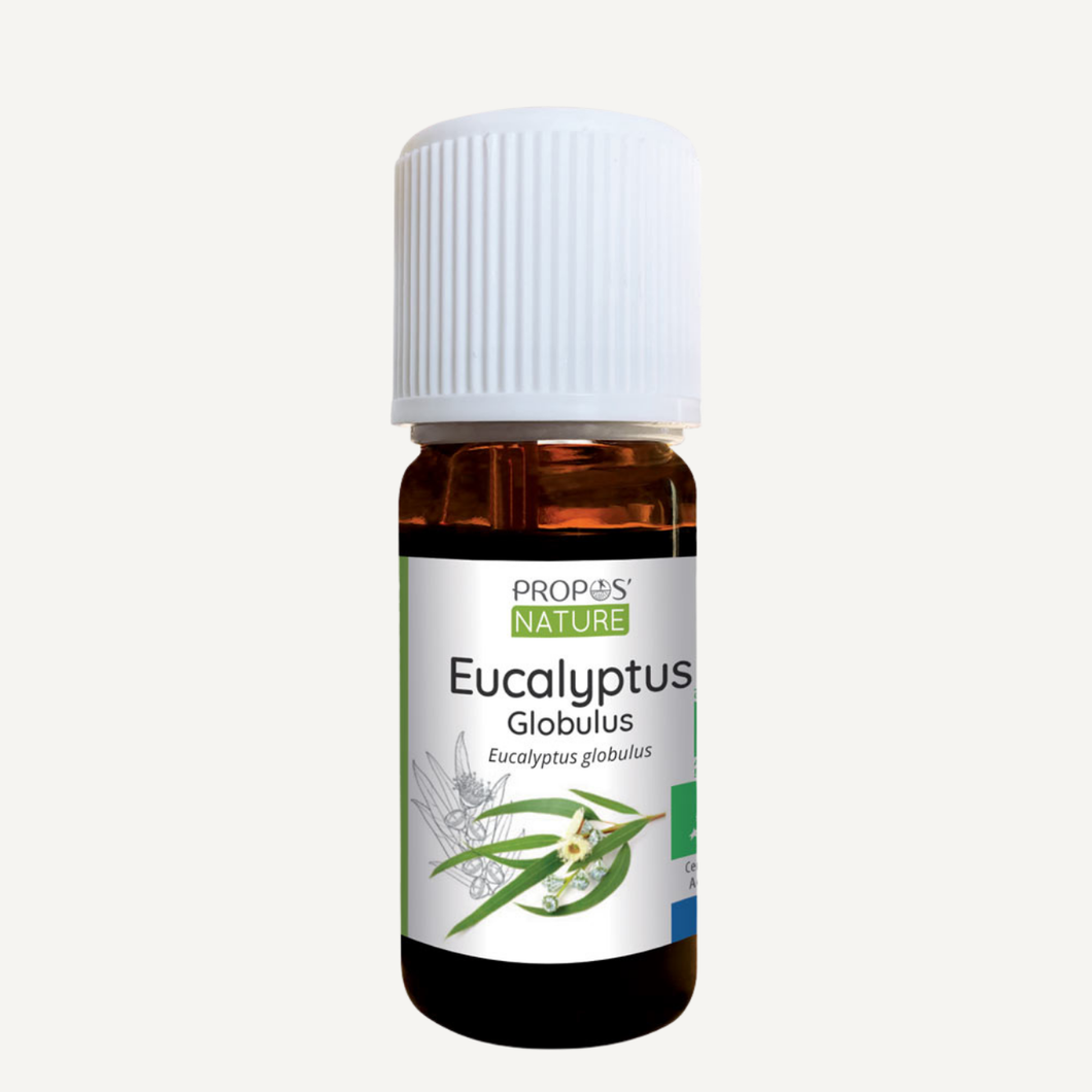 Organic Eucalyptus Globulus Essential Oil
