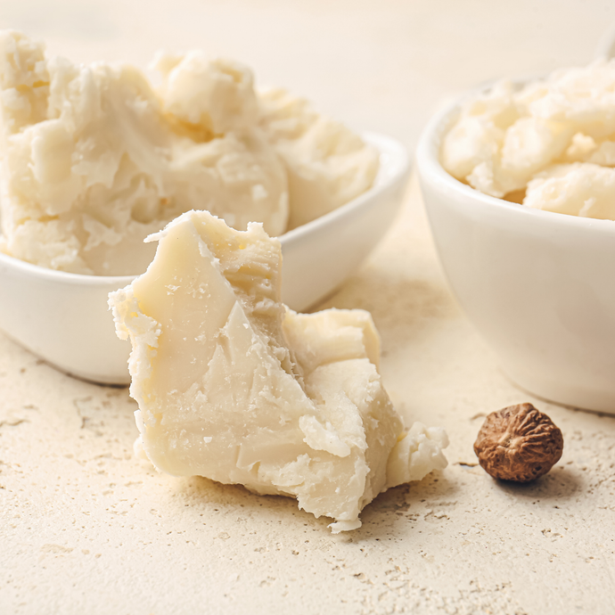 Shea Butter Bulk