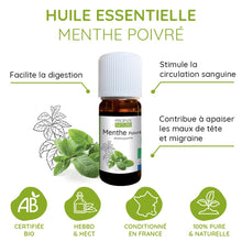 Charger l&#39;image dans la galerie, Huile essentielle de menthe poivrée – Fraîcheur, bien-être et vitalité