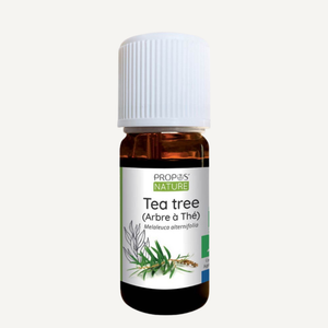 Huile essentielle Tea Tree (arbre à thé) Bio